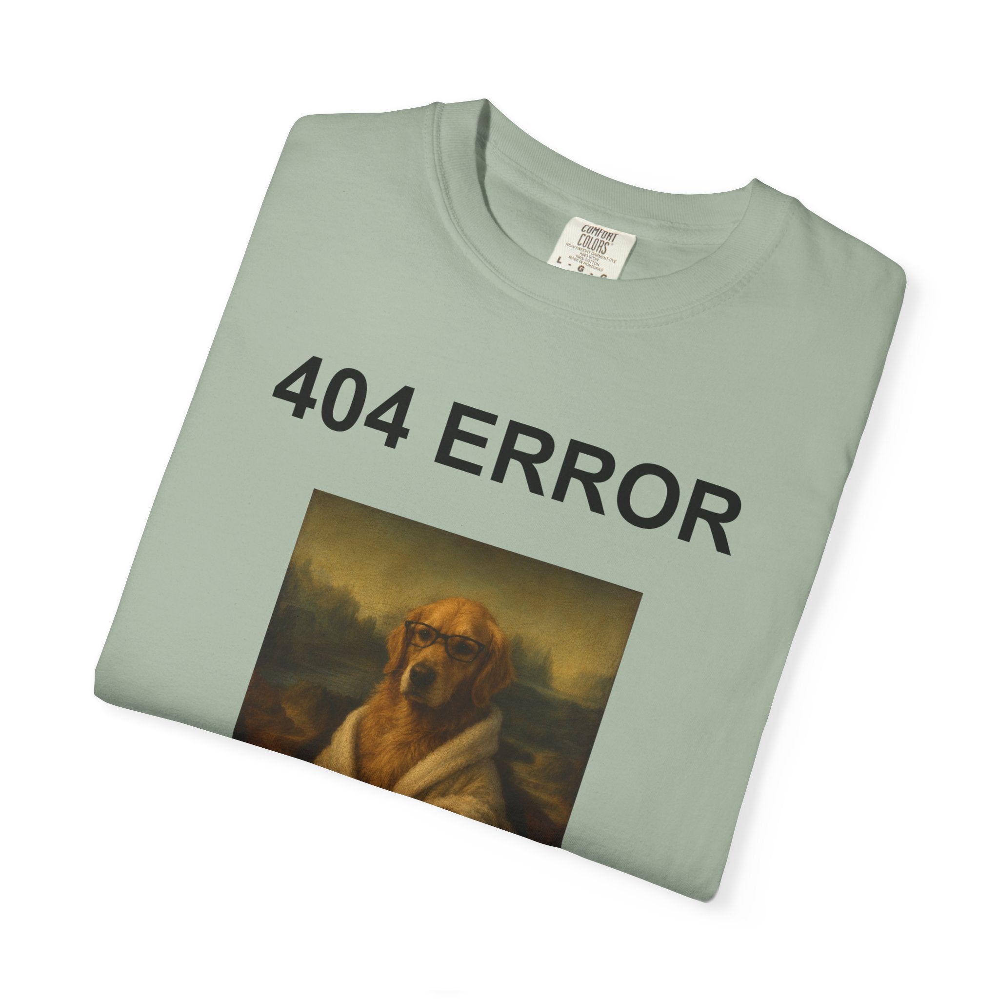 404 Error “Motivation Not Found”