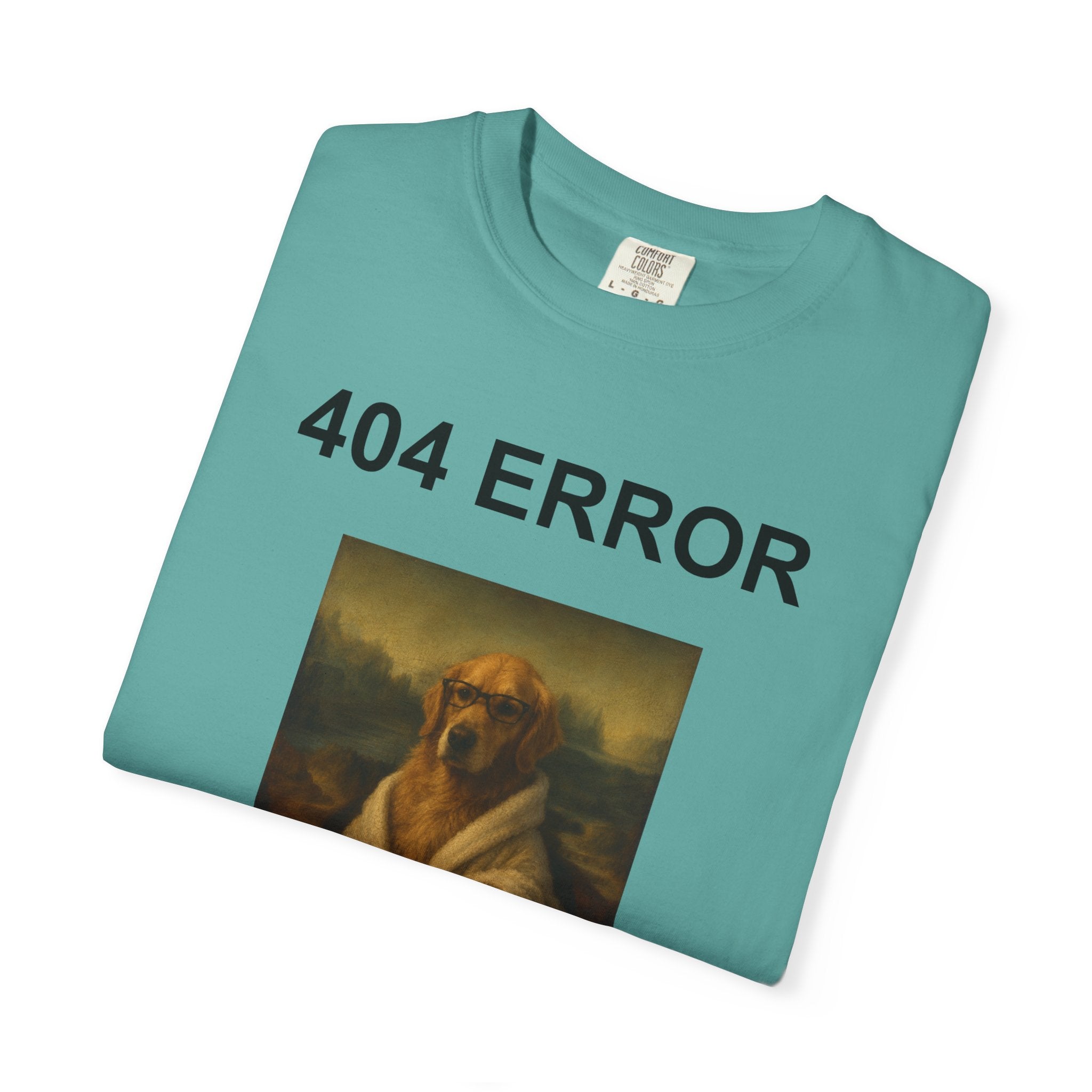 404 Error “Motivation Not Found”
