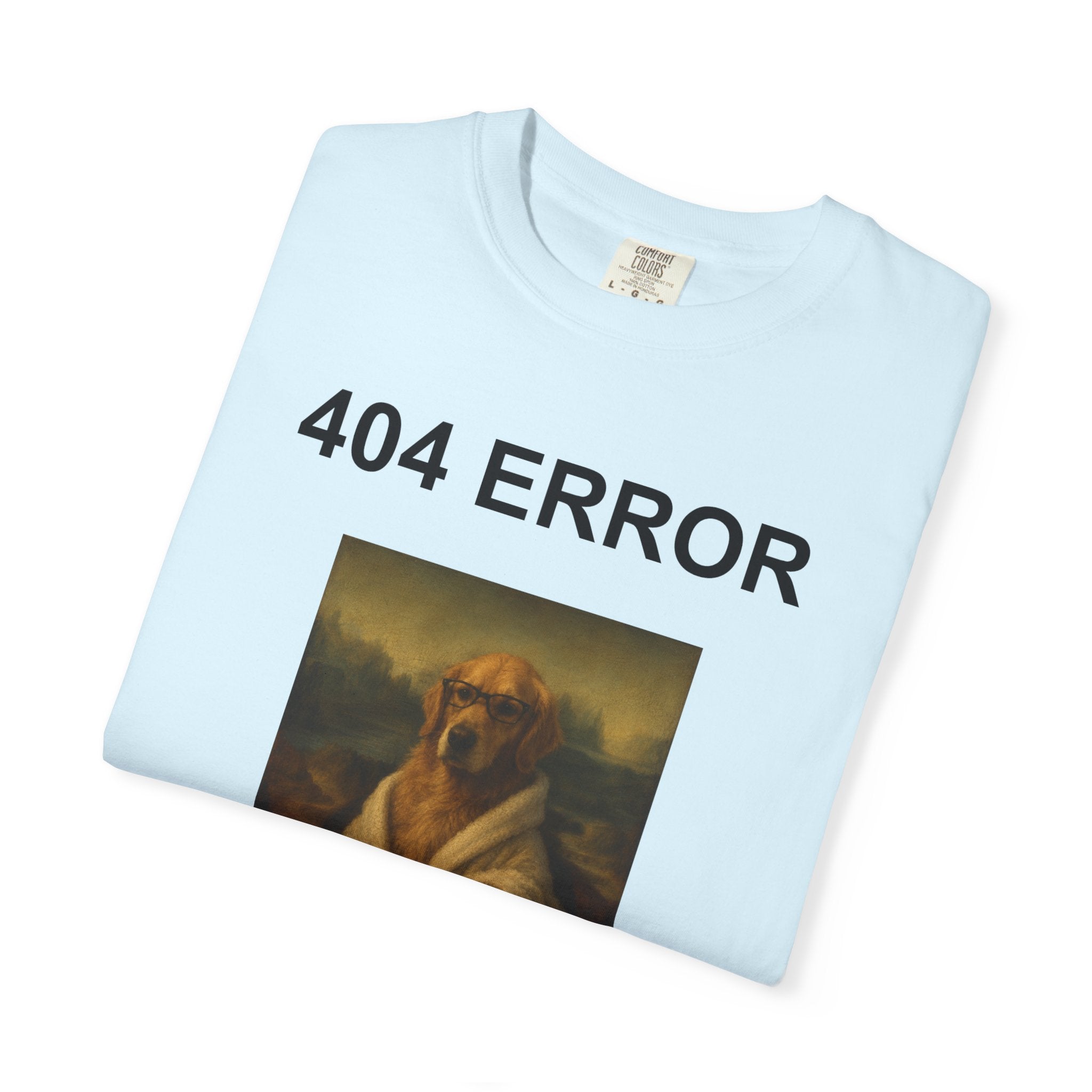 404 Error “Motivation Not Found”