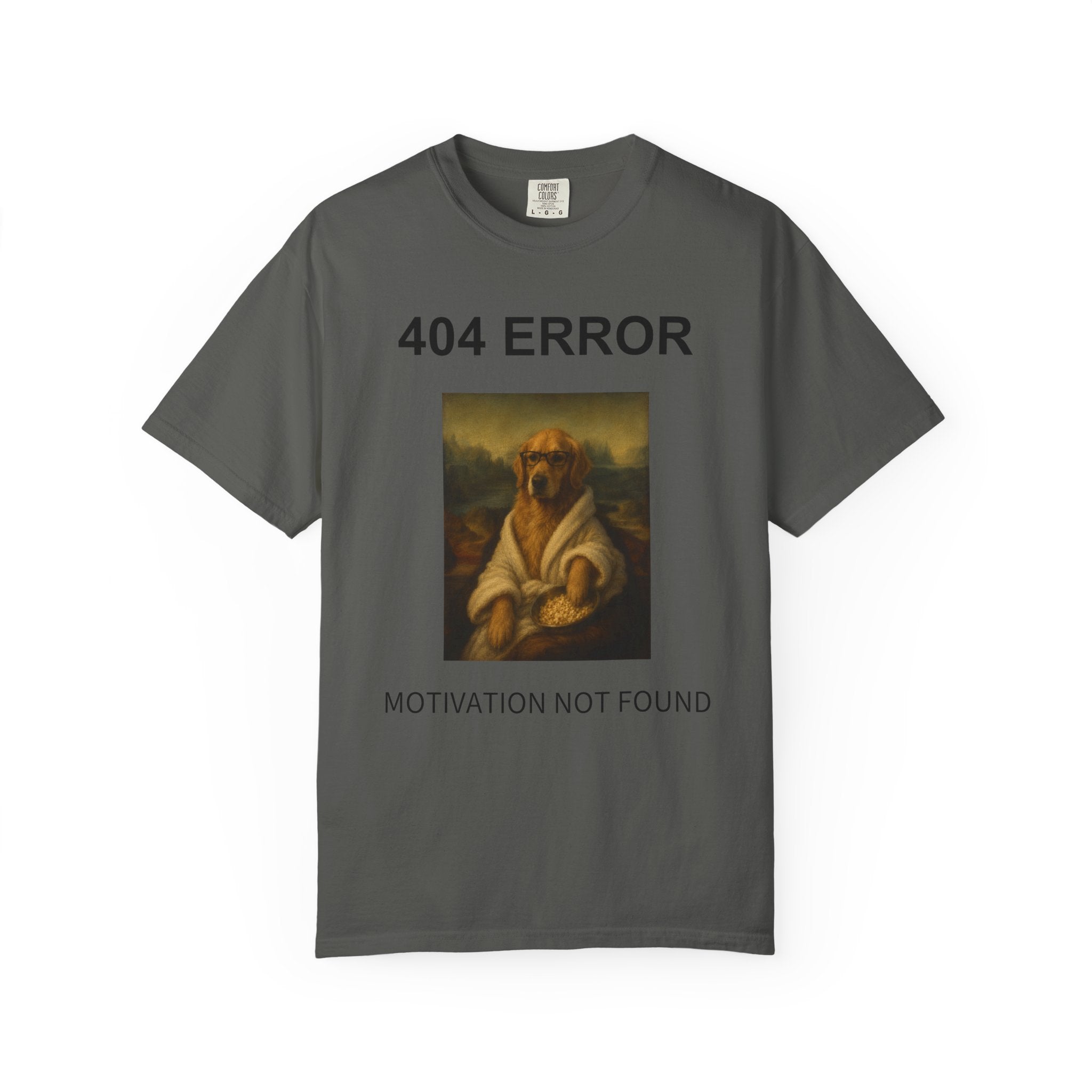 404 Error “Motivation Not Found”