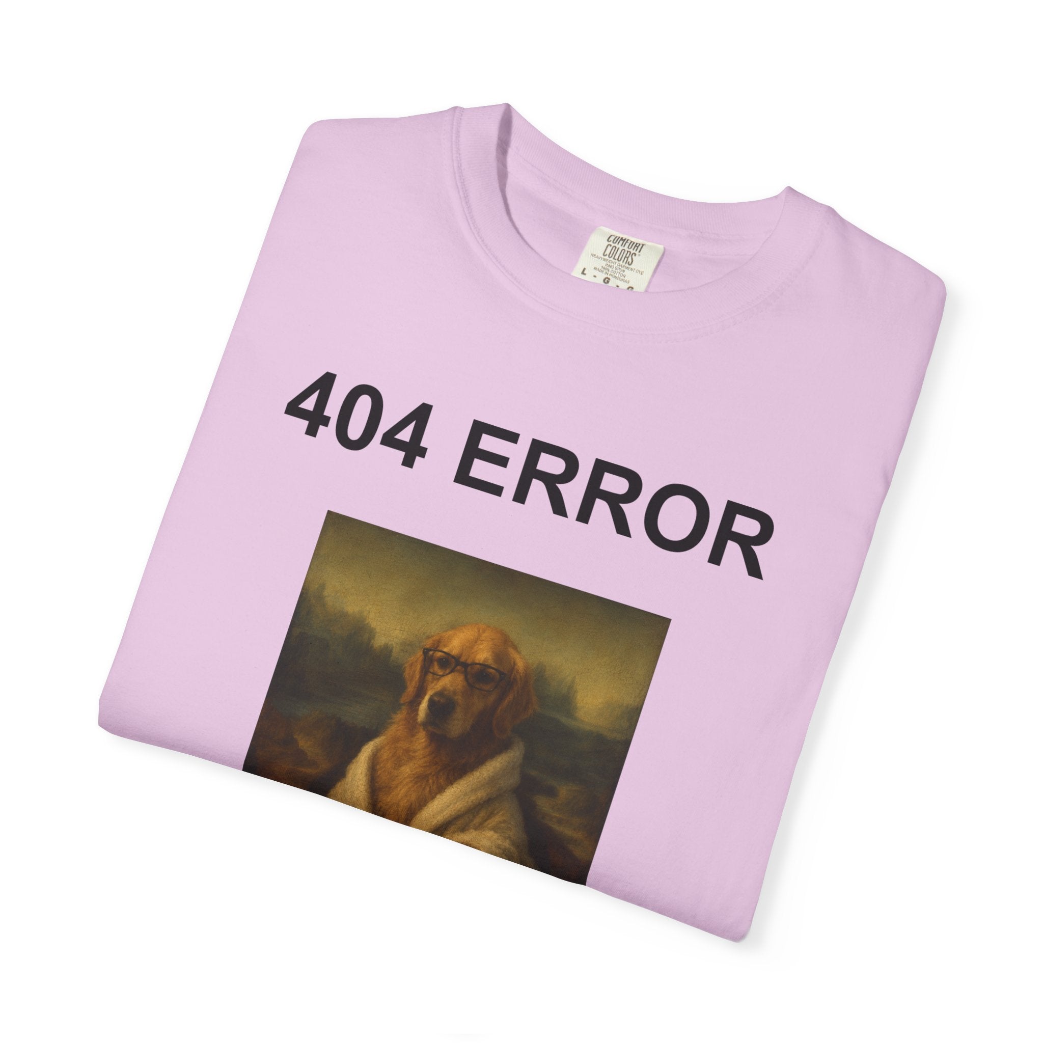 404 Error “Motivation Not Found”