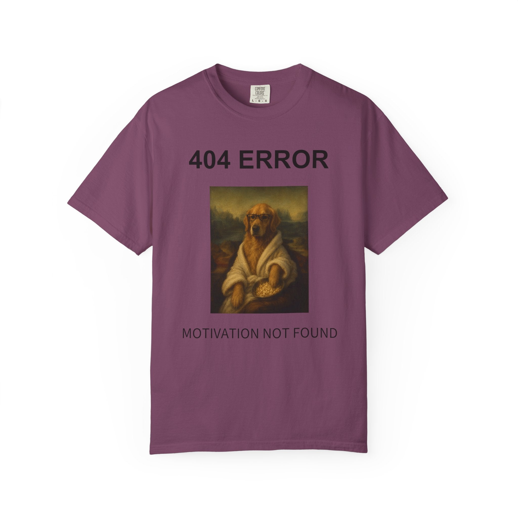 404 Error “Motivation Not Found”