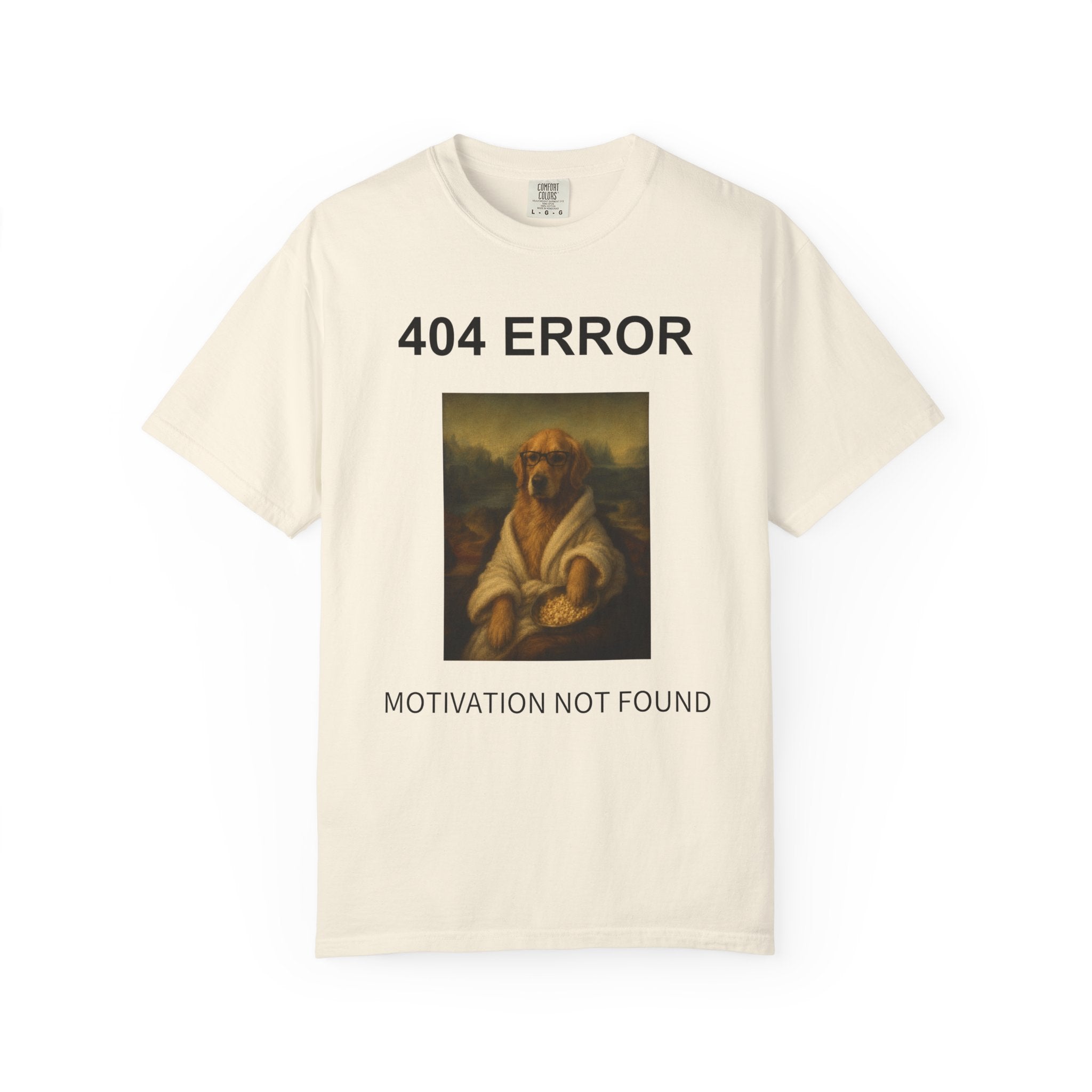 404 Error “Motivation Not Found”