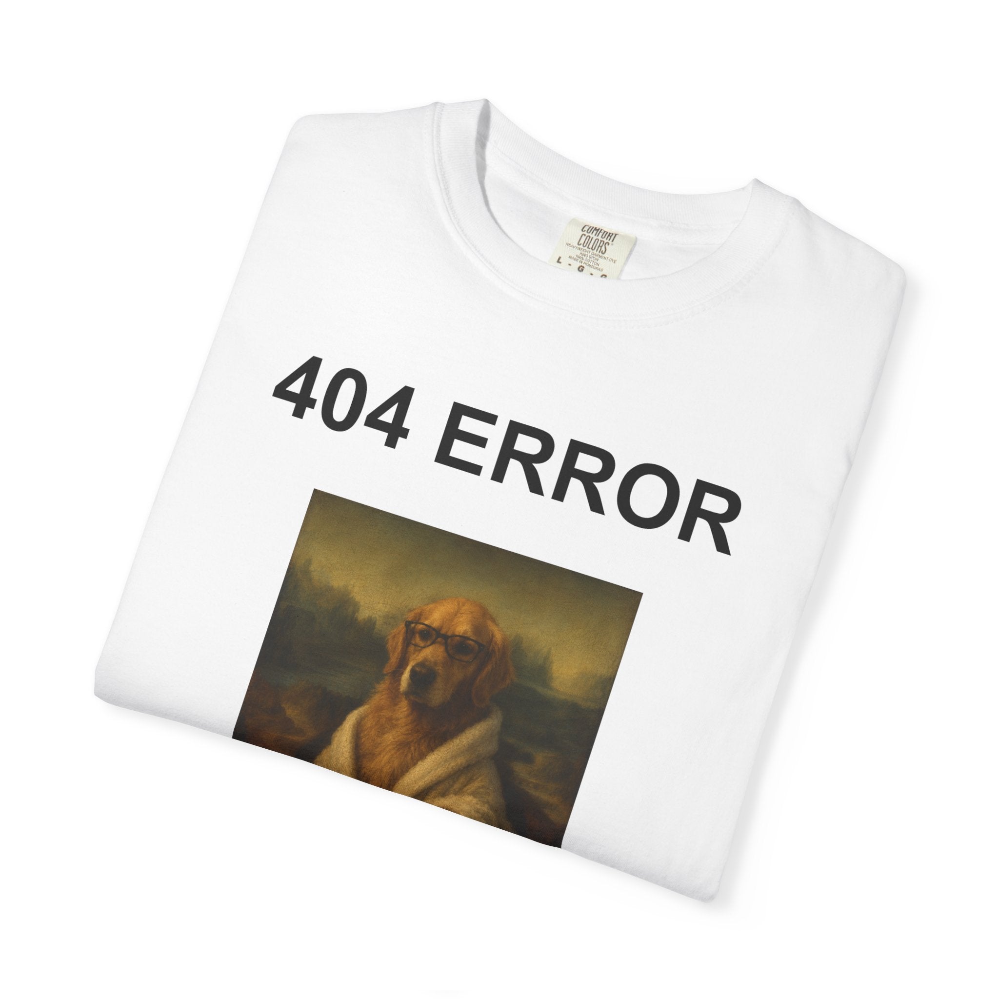 404 Error “Motivation Not Found”