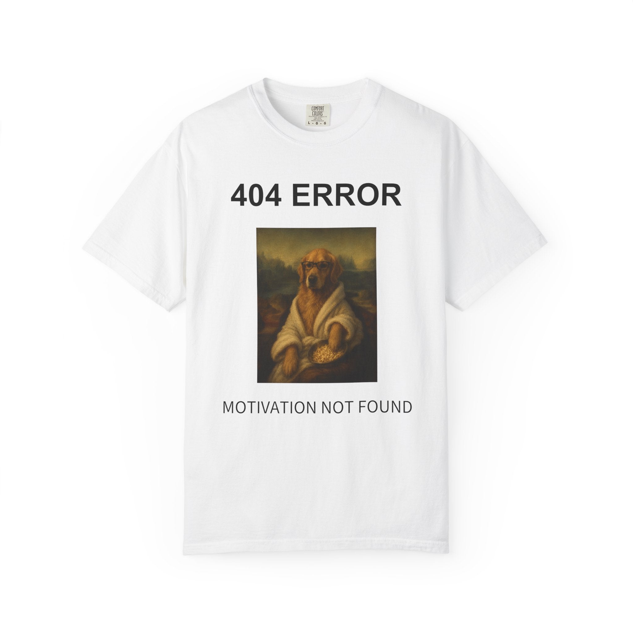 404 Error “Motivation Not Found”