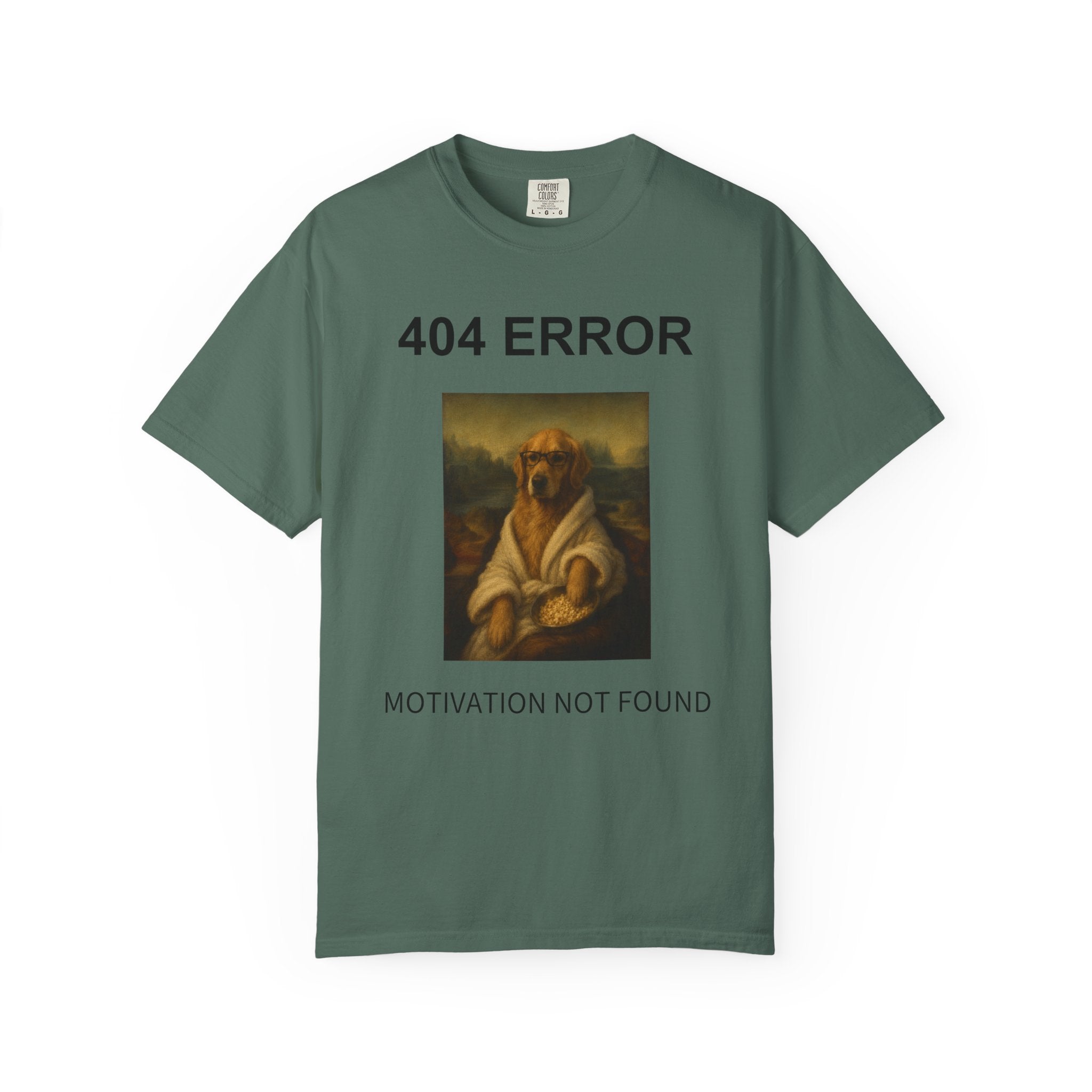 404 Error “Motivation Not Found”