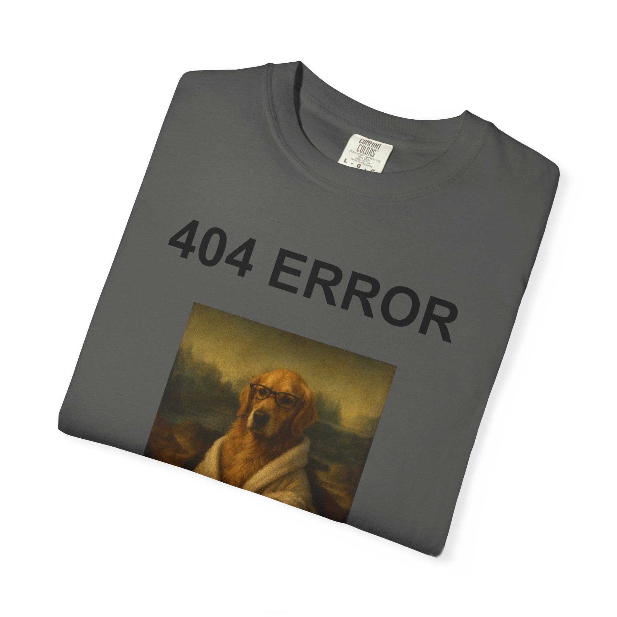 404 Error “Motivation Not Found”